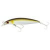 Shoreline Shiner Z Vertice 80SS